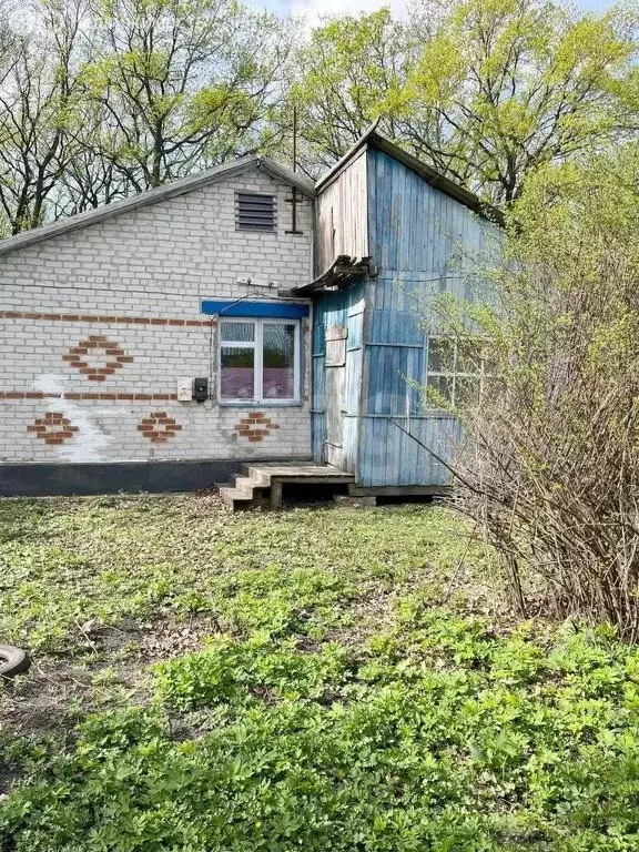 Дом в Красное, улица имени Светличной (87 м) - Фото 1