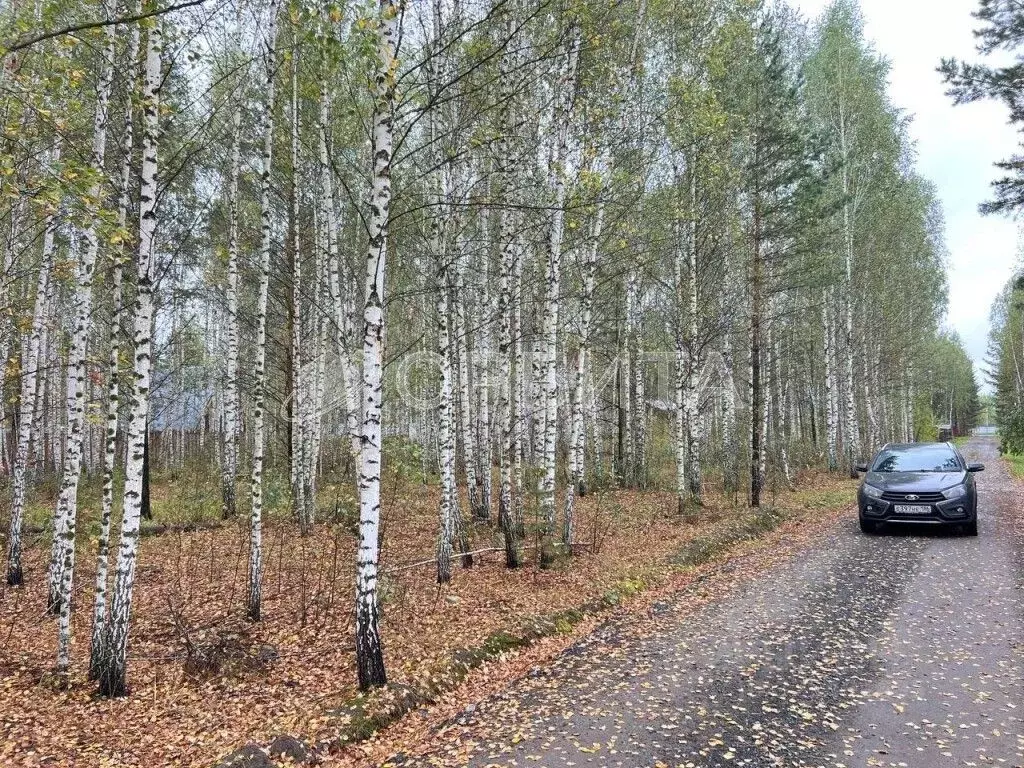 Участок в Тюменская область, Нижнетавдинский муниципальный округ, ... - Фото 2
