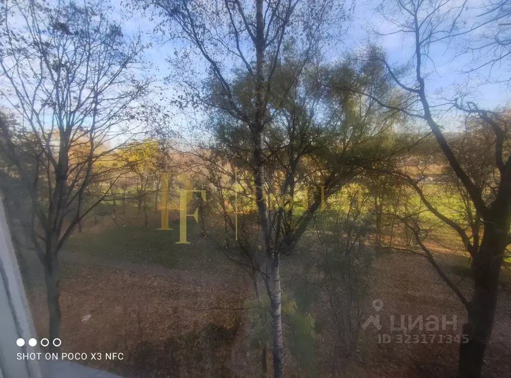 1-к кв. Санкт-Петербург ул. Коллонтай, 47К5 (29.0 м) - Фото 2