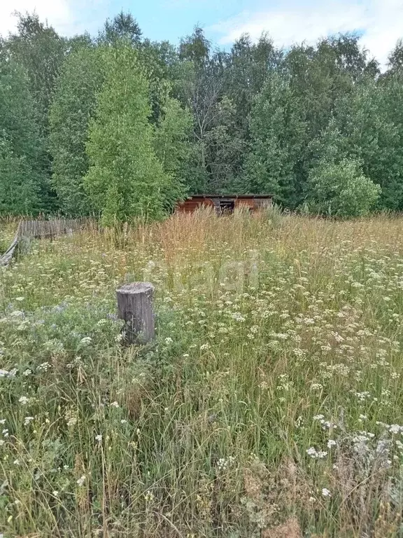 Участок в Томская область, Кожевниковский район, с. Киреевск Сибирская ... - Фото 1