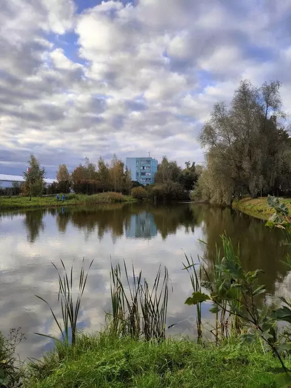 2-к кв. Московская область, Химки городской округ, пос. Лунево 33 ... - Фото 1