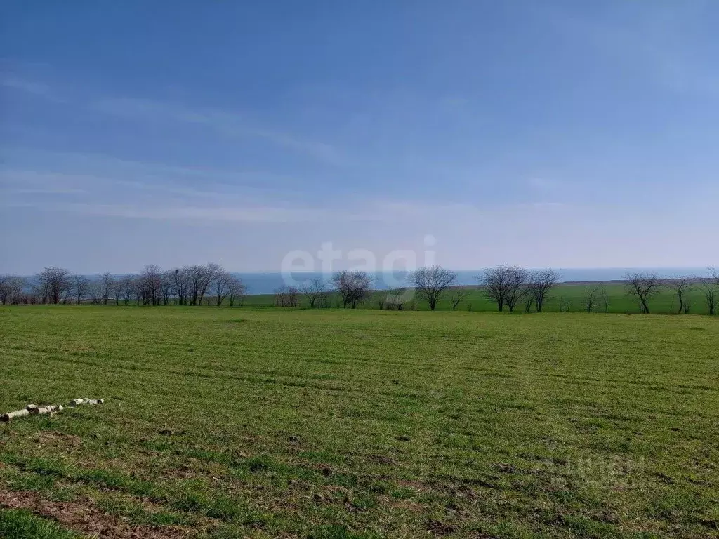 Участок в Крым, Ленинский район, Челядиновское с/пос, с. Челядиново ... - Фото 0