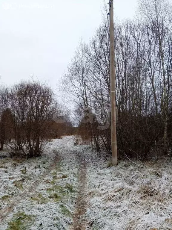 Участок в Псковский район, Ершовская волость, деревня Мысс (15 м) - Фото 0