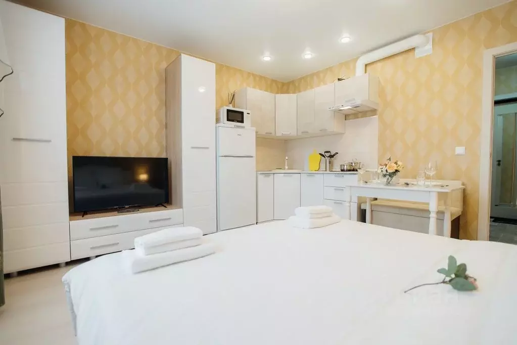 1-к кв. Калужская область, Калуга Хрустальная ул., 44к3 (30.0 м) - Фото 2