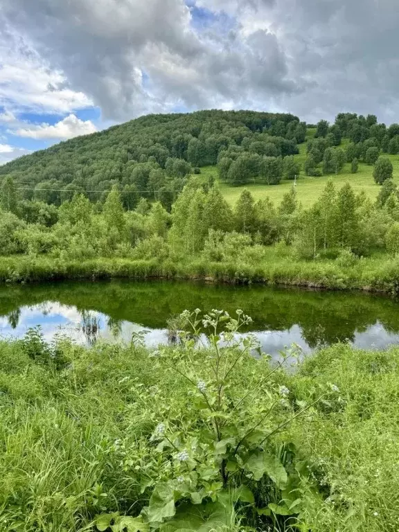 Участок в Алтайский край, Солонешенский район, с. Искра  (5300.0 сот.) - Фото 2