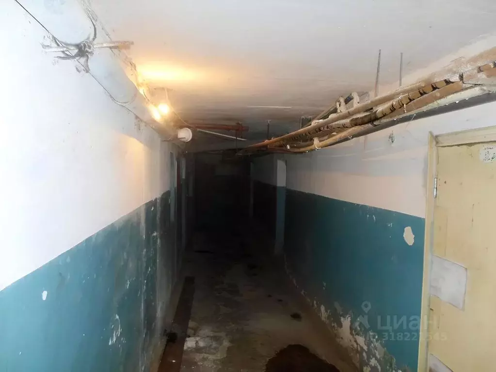 Помещение свободного назначения в Мордовия, Саранск ул. Пушкина, 8 ... - Фото 1