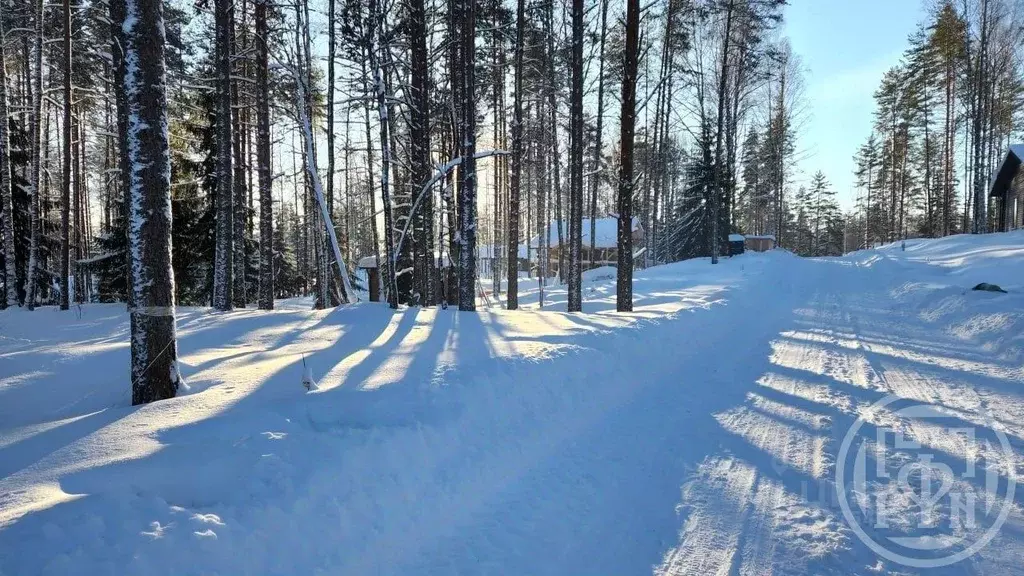 Участок в Ленинградская область, Всеволожский район, Куйвозовское ... - Фото 2