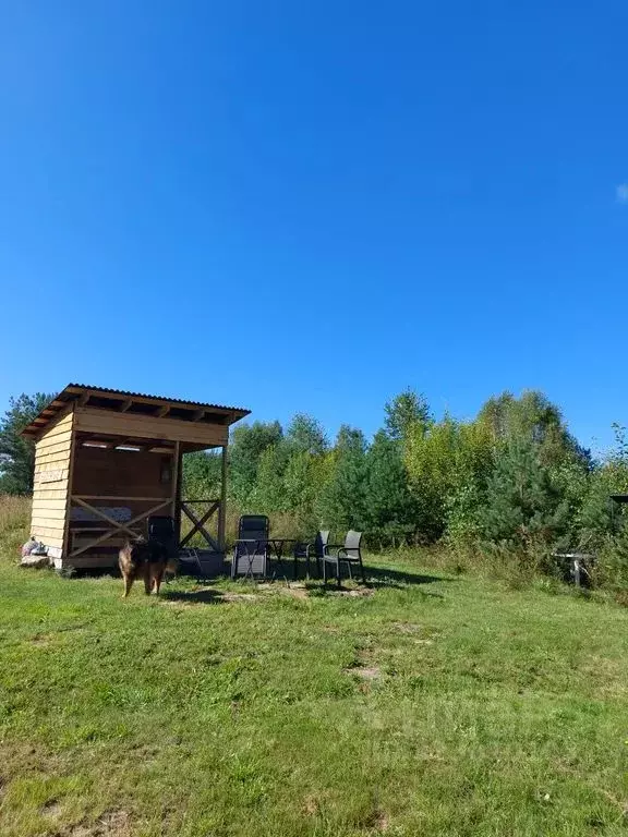 Дом в Калужская область, Дзержинский муниципальный округ, д. Дорохи ... - Фото 2