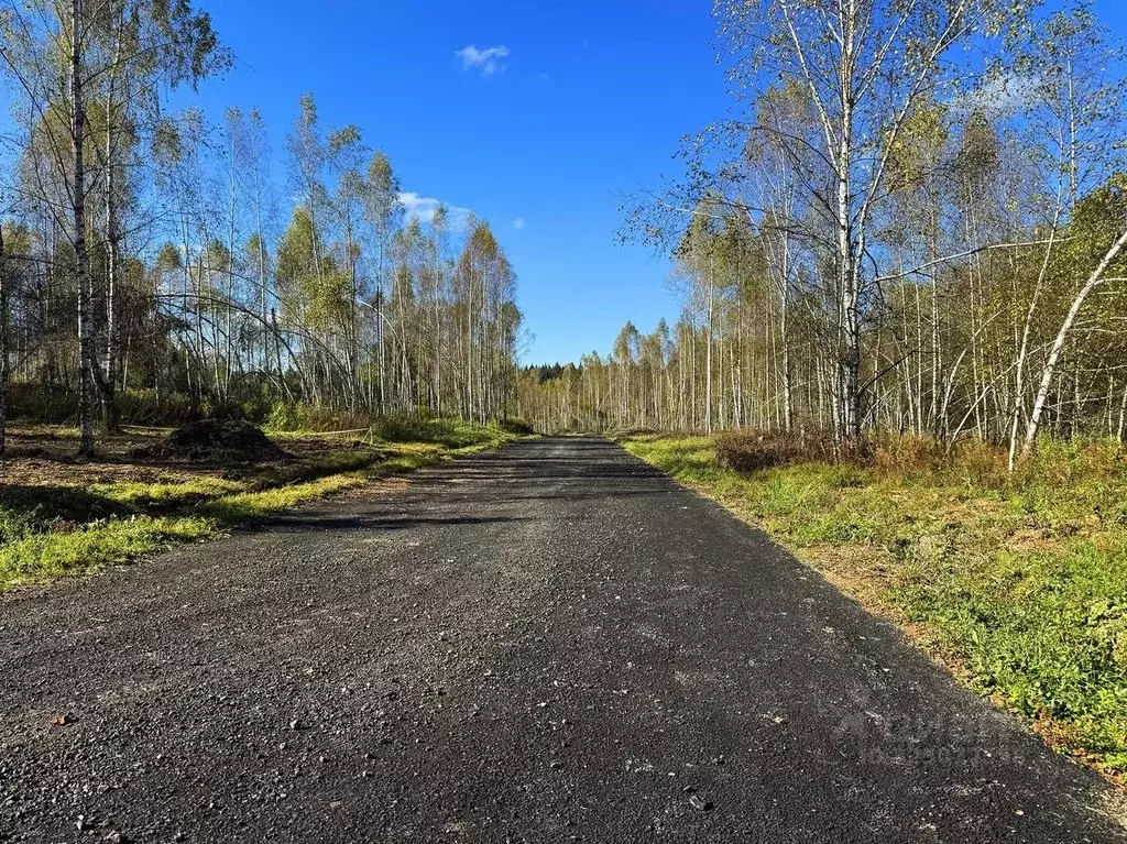 Участок в Московская область, Дмитровский муниципальный округ, Сбоево ... - Фото 2