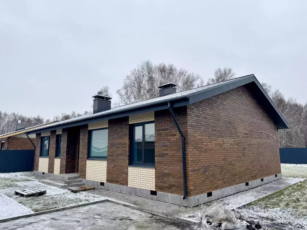 Дом в Омская область, Омский район, с. Пушкино, Пушкинъ кп ул. Андрея ... - Фото 1