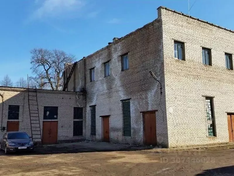 Производственное помещение в Новгородская область, Старая Русса ул. ... - Фото 0