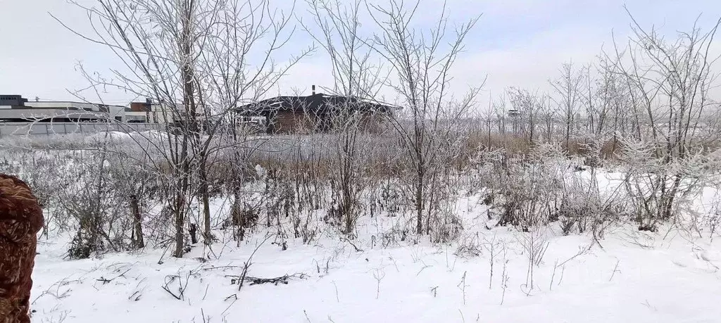 Участок в Ростовская область, Мясниковский район, Краснокрымское ... - Фото 2