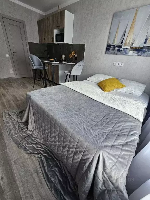 Студия Москва ул. Корнейчука, 27 (20.0 м) - Фото 1