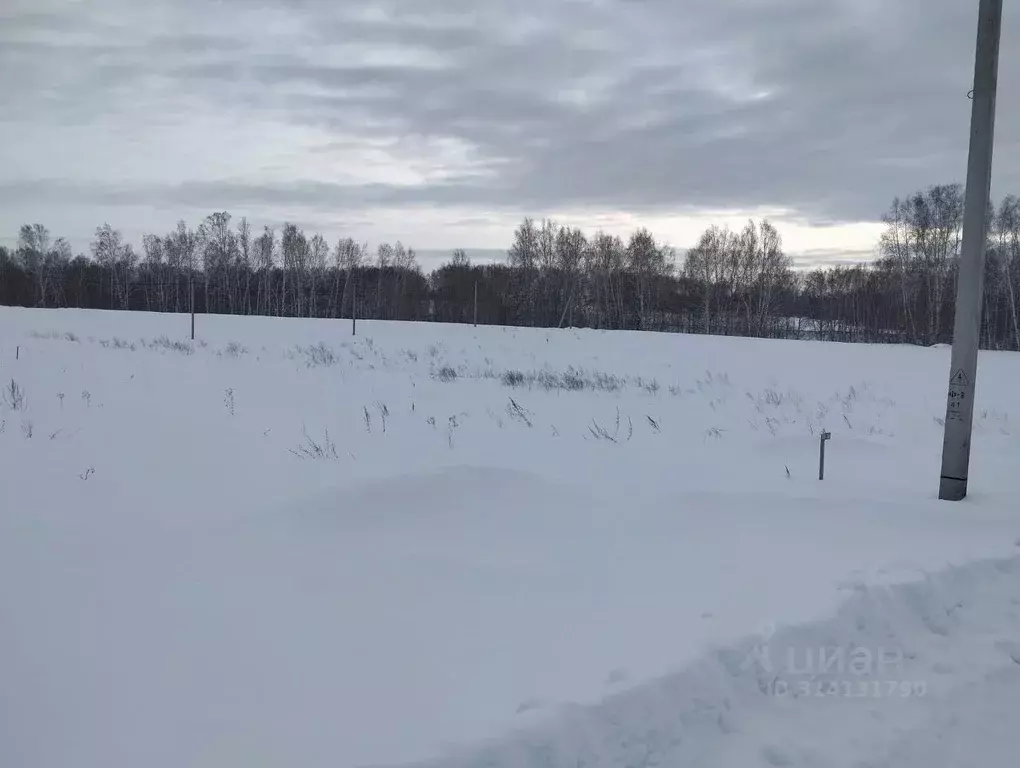 Участок в Новосибирская область, Новосибирский район, Раздольненский ... - Фото 0