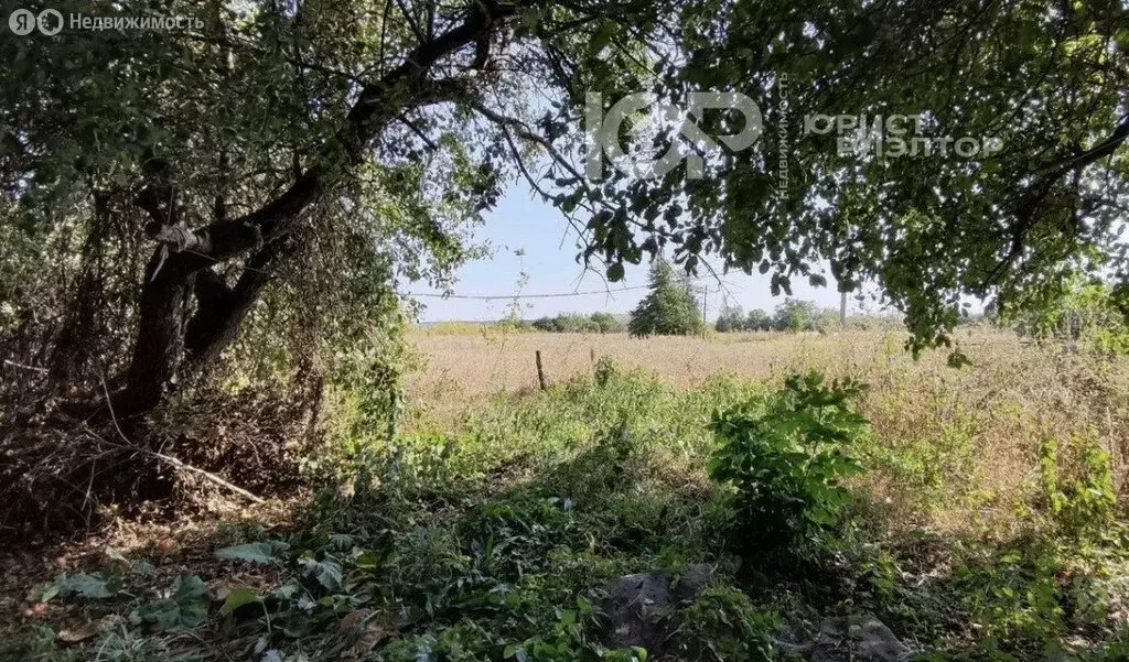 Участок в село Землянск, улица Разина, 26А (43 м) - Фото 2