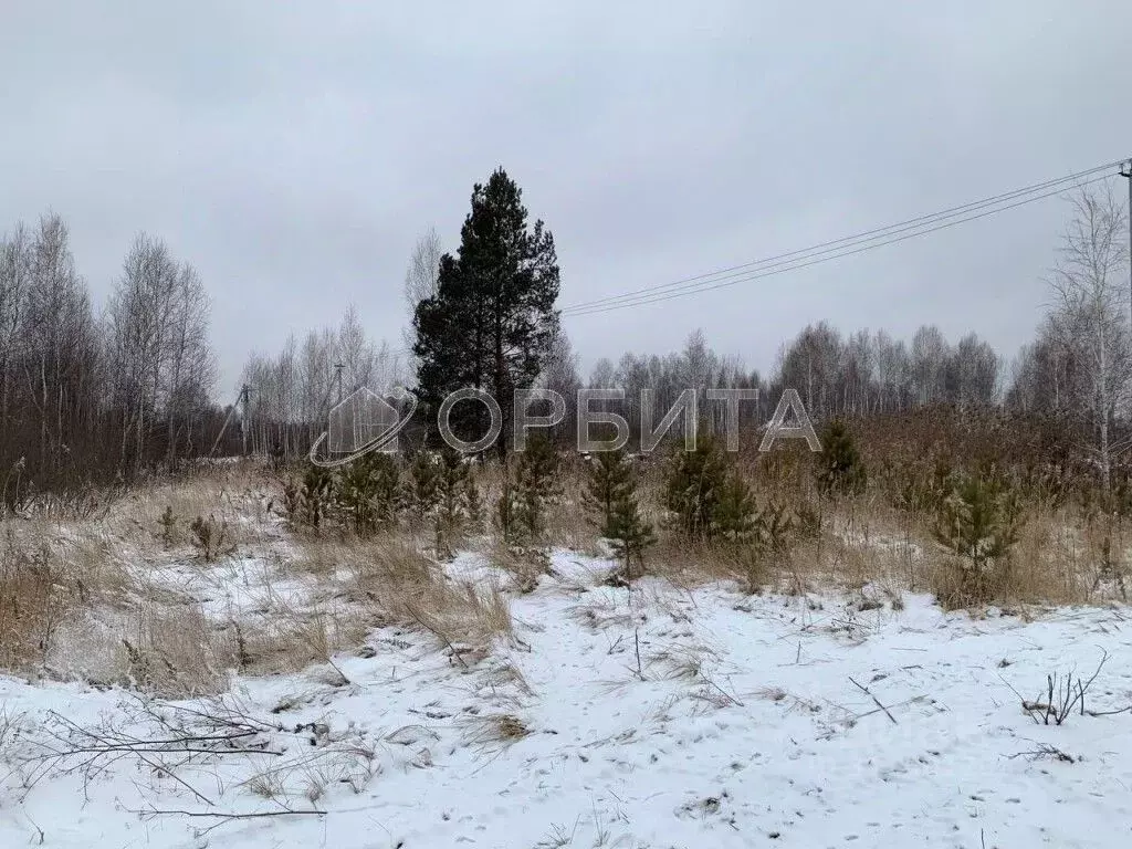 Участок в Тюменская область, Нижнетавдинский район, Моторостроитель ... - Фото 1