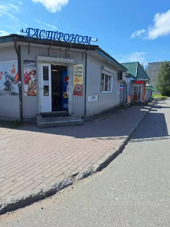 Торговая площадь в Ленинградская область, Всеволожский район, ... - Фото 0
