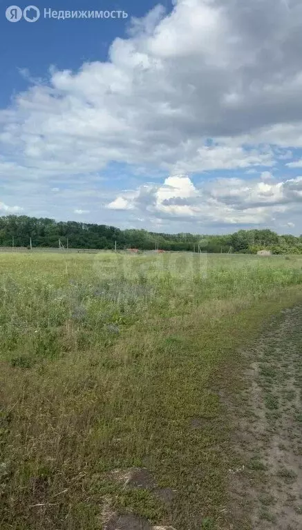 Участок в Белгород, улица Виктора Лосева (15 м) - Фото 2