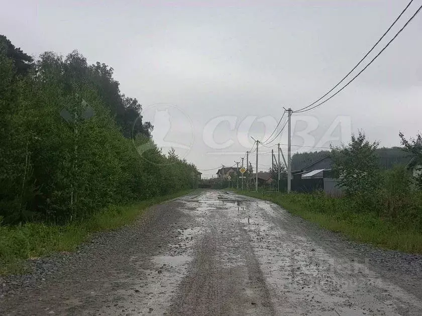 Участок в Тюменская область, Тюменский район, д. Молчанова проезд ... - Фото 0