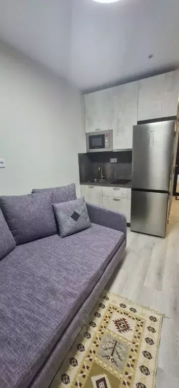 Студия Москва Березовая аллея, 19к3 (16.0 м) - Фото 1