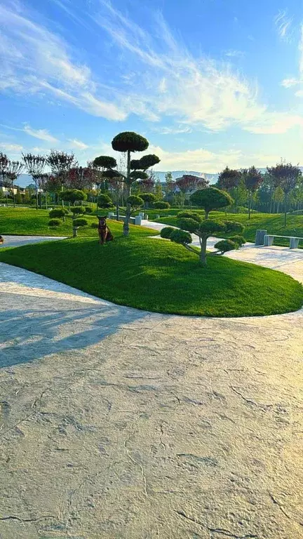 Дом в Краснодарский край, Геленджик пер. Рождественский (320 м) - Фото 1