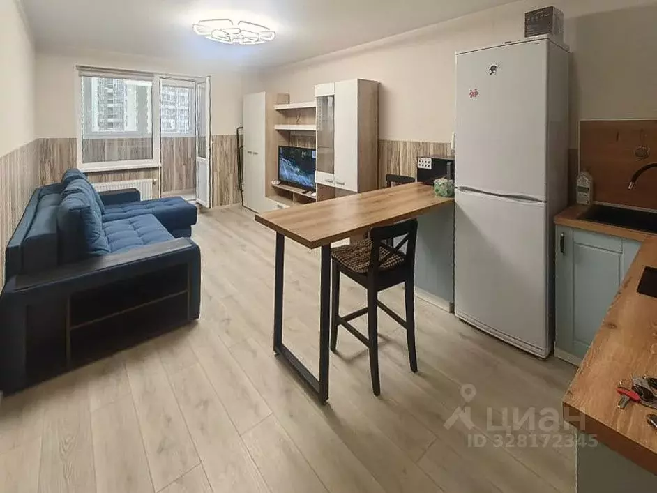 Студия Санкт-Петербург пос. Парголово, Заречная ул., 13к2 (26.0 м) - Фото 2