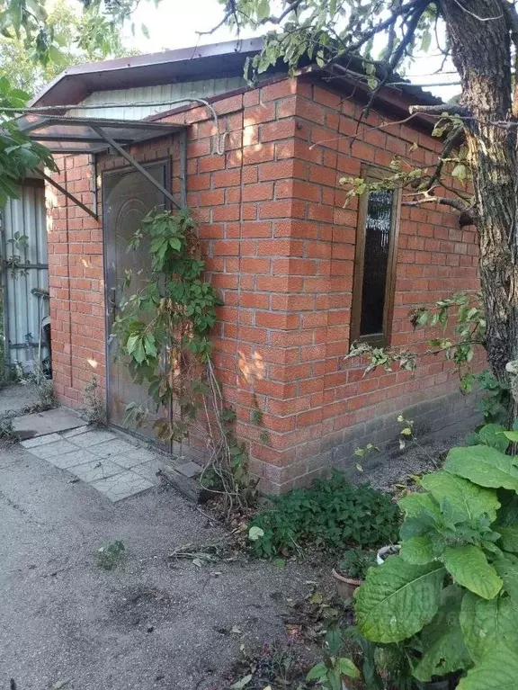 Дом в Краснодарский край, Ейский район, Должанская ст-ца ул. Калинина ... - Фото 2