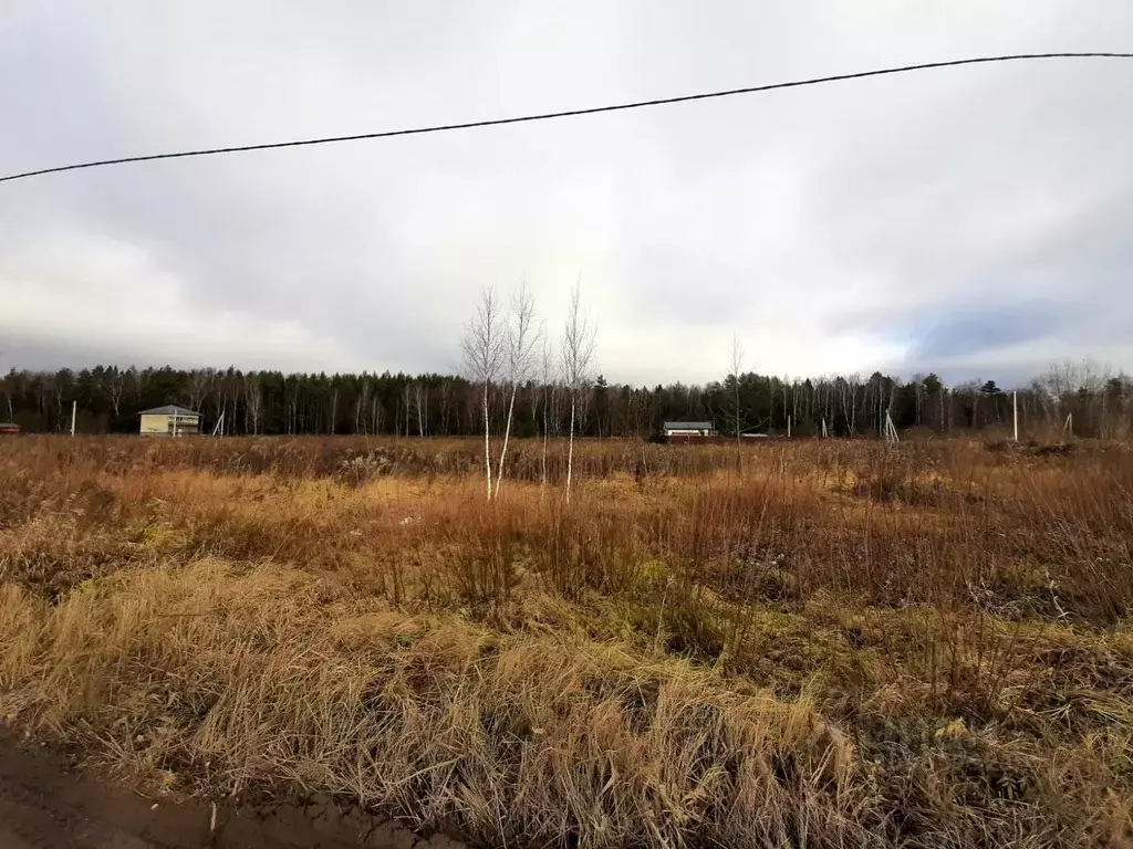 Участок в Московская область, Щелково городской округ, Лесной кв-л ... - Фото 1