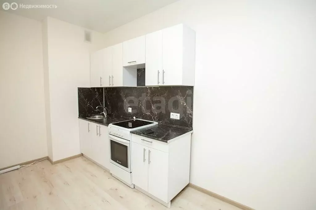 1-комнатная квартира: деревня Анкудиновка, Русская улица, 17 (37.5 м) - Фото 2