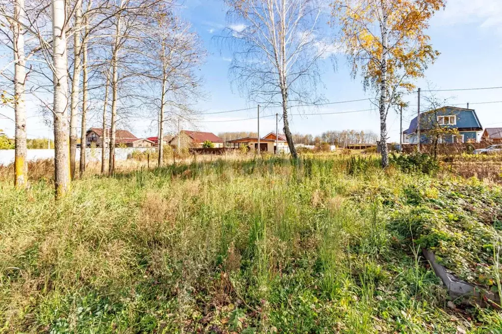 Участок в Тюменская область, Тюменский муниципальный округ, д. Зырянка ... - Фото 1