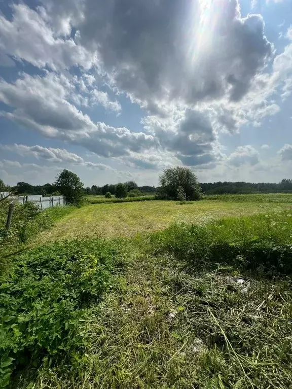 Участок в Ярославская область, Переславль-Залесский муниципальный ... - Фото 2