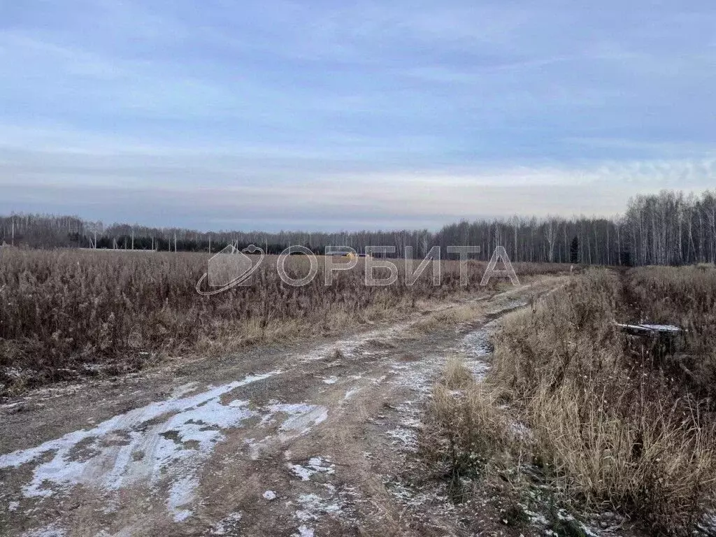 Участок в Тюменская область, Тюменский муниципальный округ, с. Кулига, ... - Фото 0