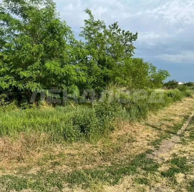 Участок в станица Манычская, улица Кирова (23.44 м) - Фото 1