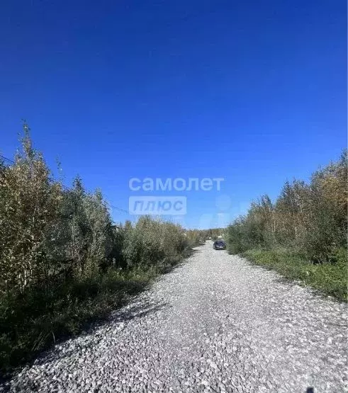 Участок в Тюменская область, Тюменский район, Винзили рп ул. Свободы ... - Фото 1