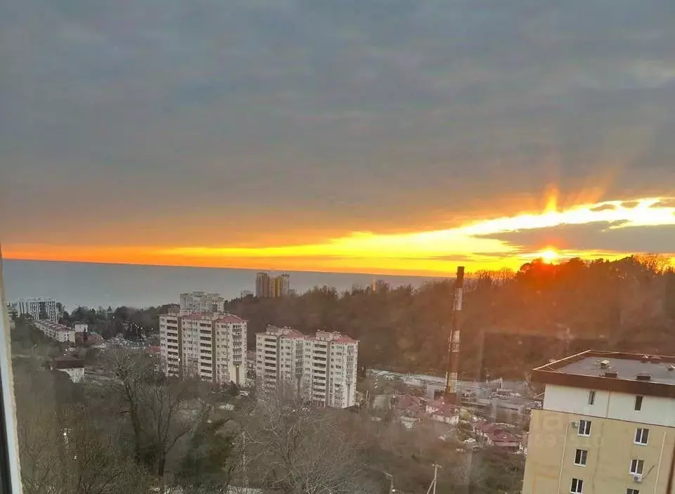 1-к кв. Краснодарский край, Сочи Яна Фабрициуса мкр, ул. Метелева, 6/3 ... - Фото 1