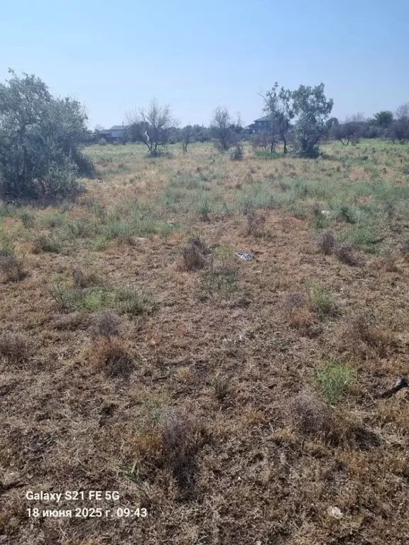 Участок в Астраханская область, Астрахань Восток СТ, 343 (11.0 сот.) - Фото 1