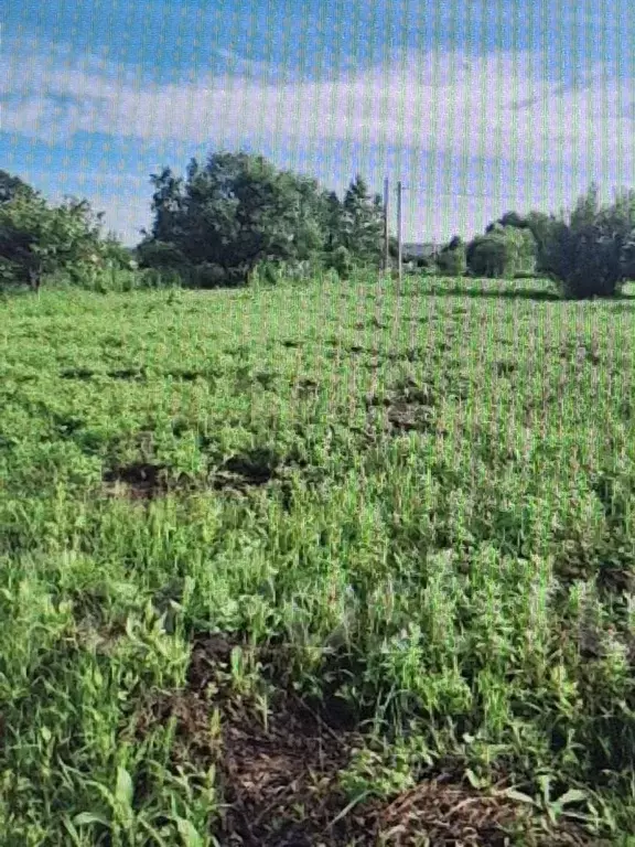 Участок в Приморский край, Уссурийск Сахпоселок мкр,  (10.0 сот.) - Фото 1