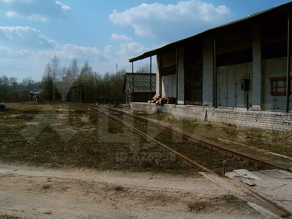 Купить Участок Юрково Сокольский Район Нижегородская Область