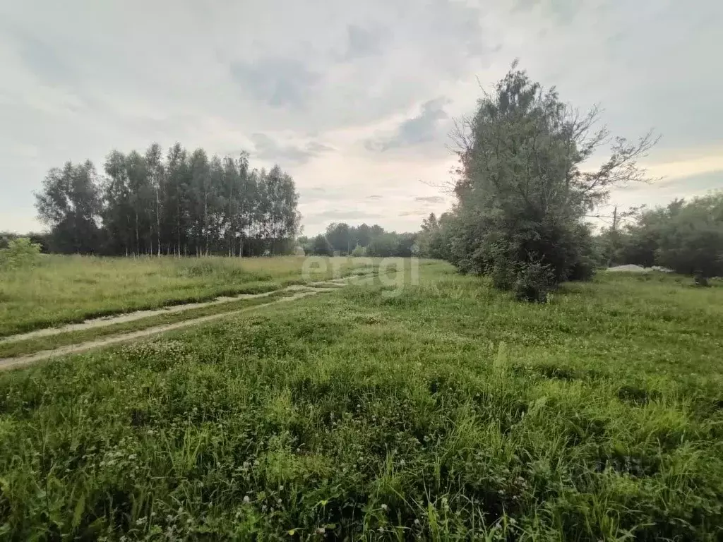 Дом в Владимирская область, Селивановский район, Новлянское ... - Фото 0