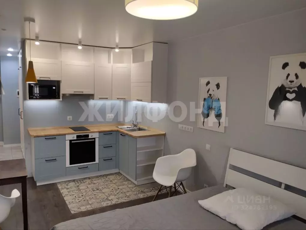 Студия Новосибирская область, Новосибирск 1-я Чулымская ул., 112/3 ... - Фото 2