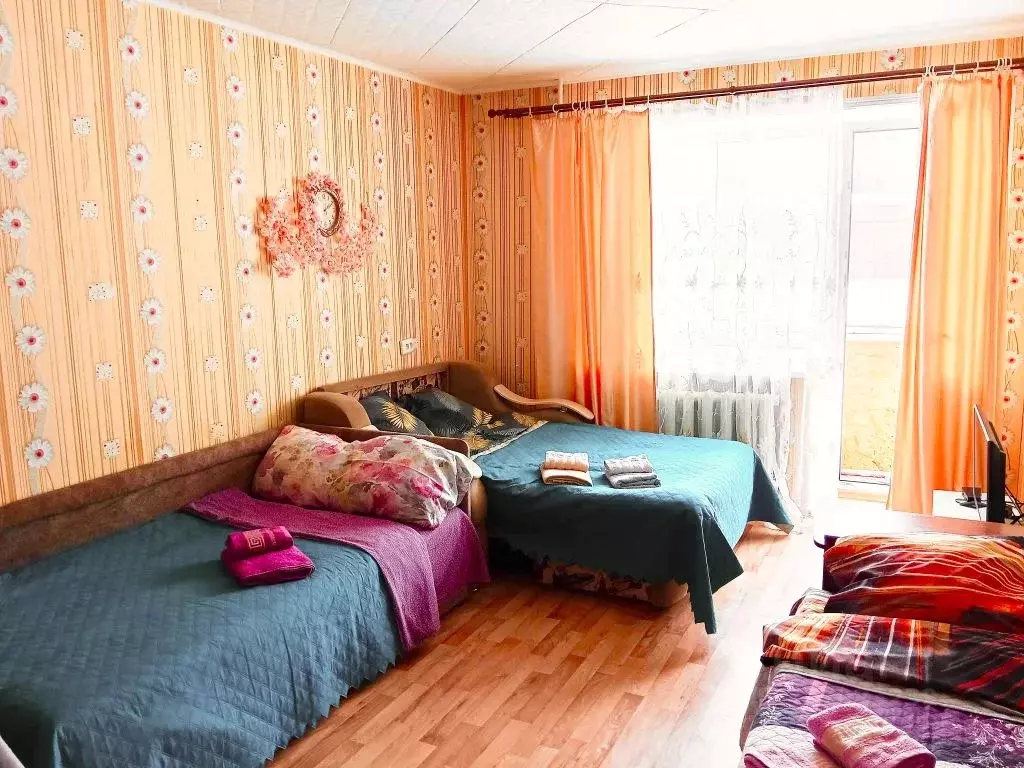 1-к кв. Псковская область, Великие Луки ул. Маршала Жукова, 22К1 (35.0 ... - Фото 1