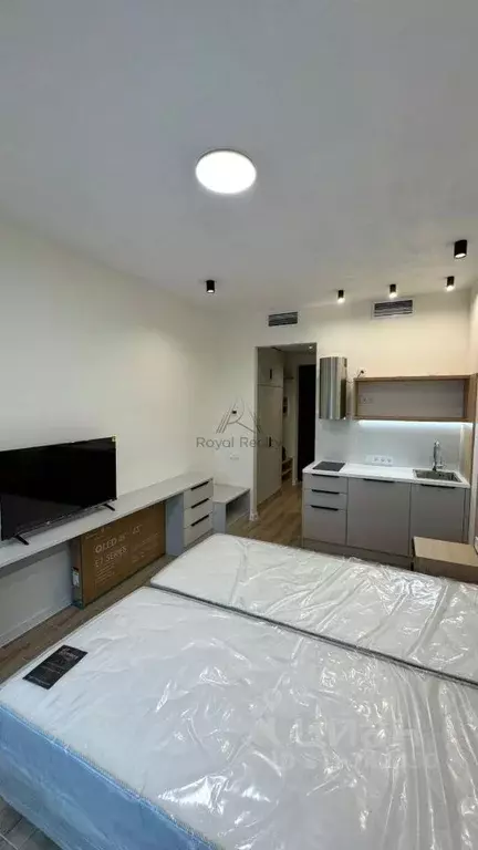 Студия Санкт-Петербург наб. Макарова, 58 (23.0 м) - Фото 0
