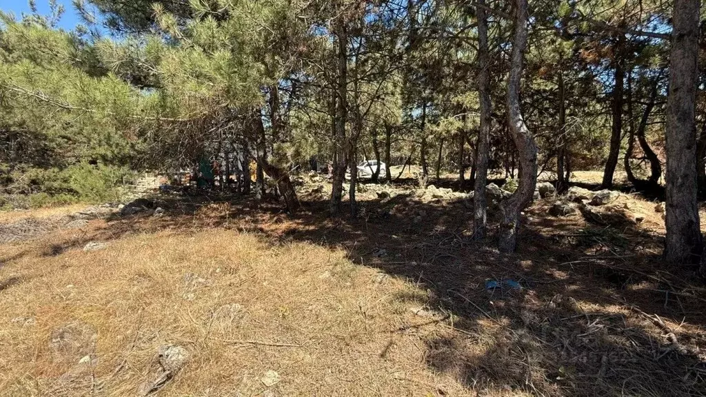 Участок в Севастополь ул. Дениса Ракицкого (4.0 сот.) - Фото 1