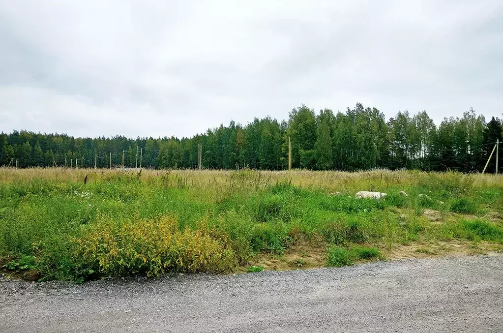 Участок в Ленинградская область, Приозерский район, Красноозерное ... - Фото 1