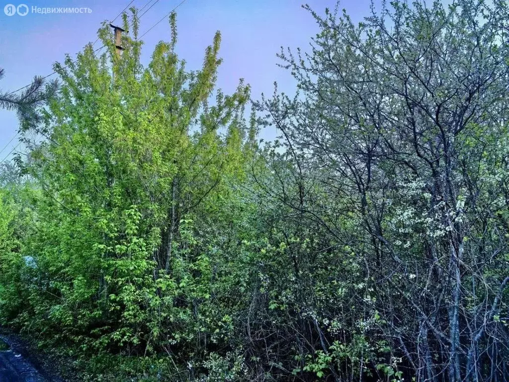 Участок в посёлок Водный, Центральная улица, 17 (20 м) - Фото 1