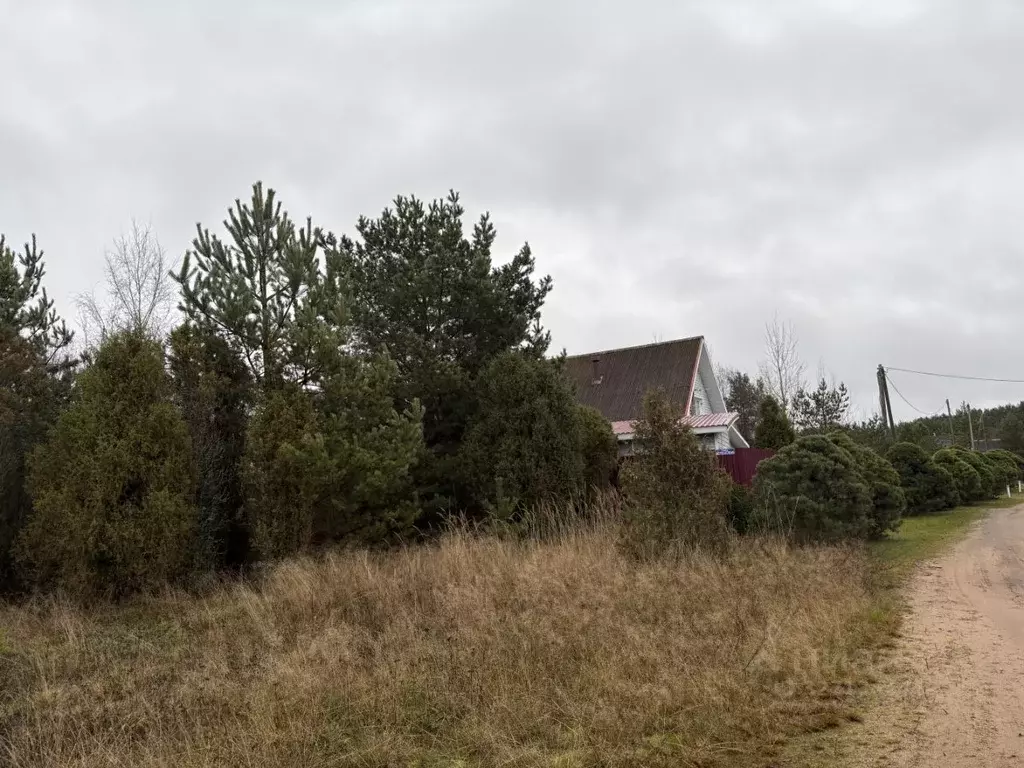 Участок в Ленинградская область, Волховский район, Иссадское с/пос, д. ... - Фото 2