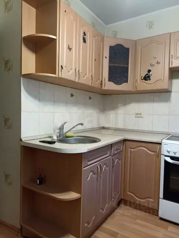 1-к кв. Кировская область, Киров ул. Чистопрудненская, 1к2 (33.0 м) - Фото 1