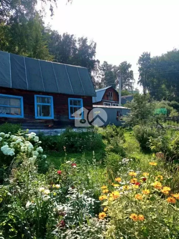 Дом в Новосибирская область, Мошковский район, Жилстроевец СНТ 194 (40 ... - Фото 2