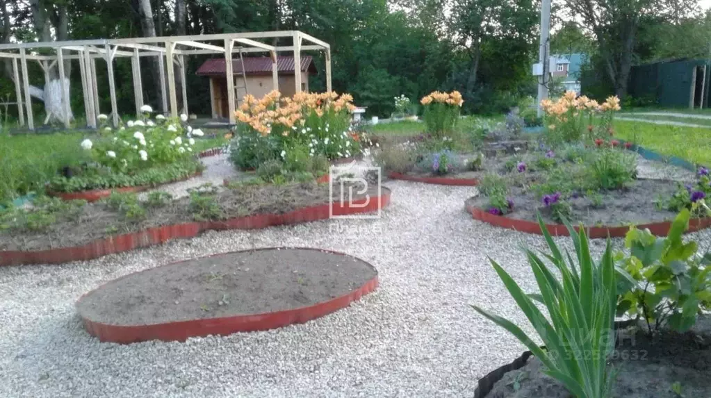 Участок в Калужская область, Бабынинский муниципальный округ, ... - Фото 2