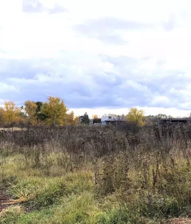 Участок в Воронежская область, Рамонский район, Новоживотинновское ... - Фото 1